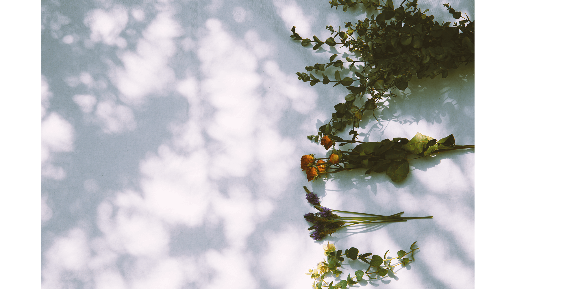 _parallax