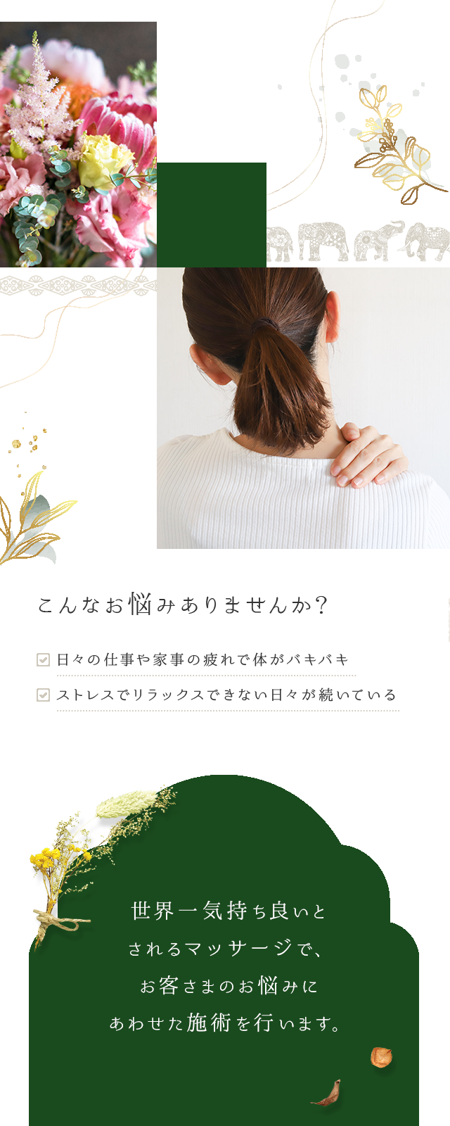 sp_body_bg
